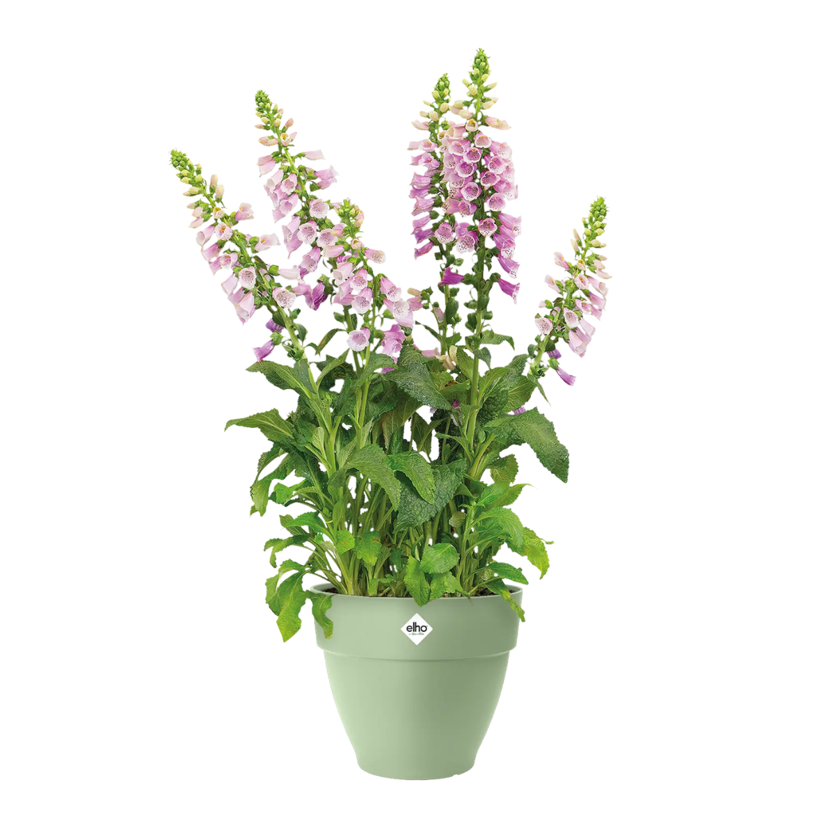 Elho Bloempot Vibia Campana Rond Pistachegroen 40 x 33 cm