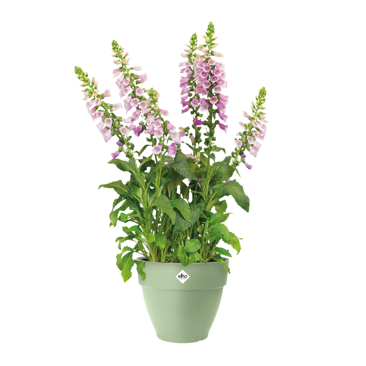 Elho Bloempot Vibia Campana Rond Pistachegroen 47 x 40 cm