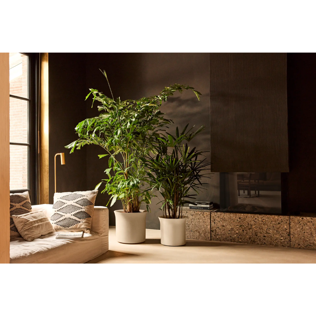 Elho June Tulip 40 Balanced beige - ø 39 x H 36 cm - 100% gerecycled