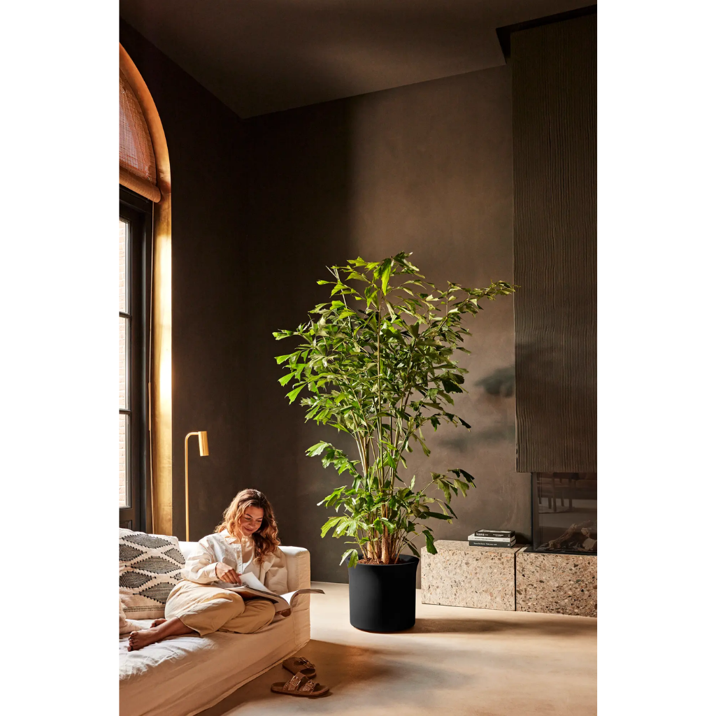 Elho June Tulip 40 Balanced beige - ø 39 x H 36 cm - 100% gerecycled