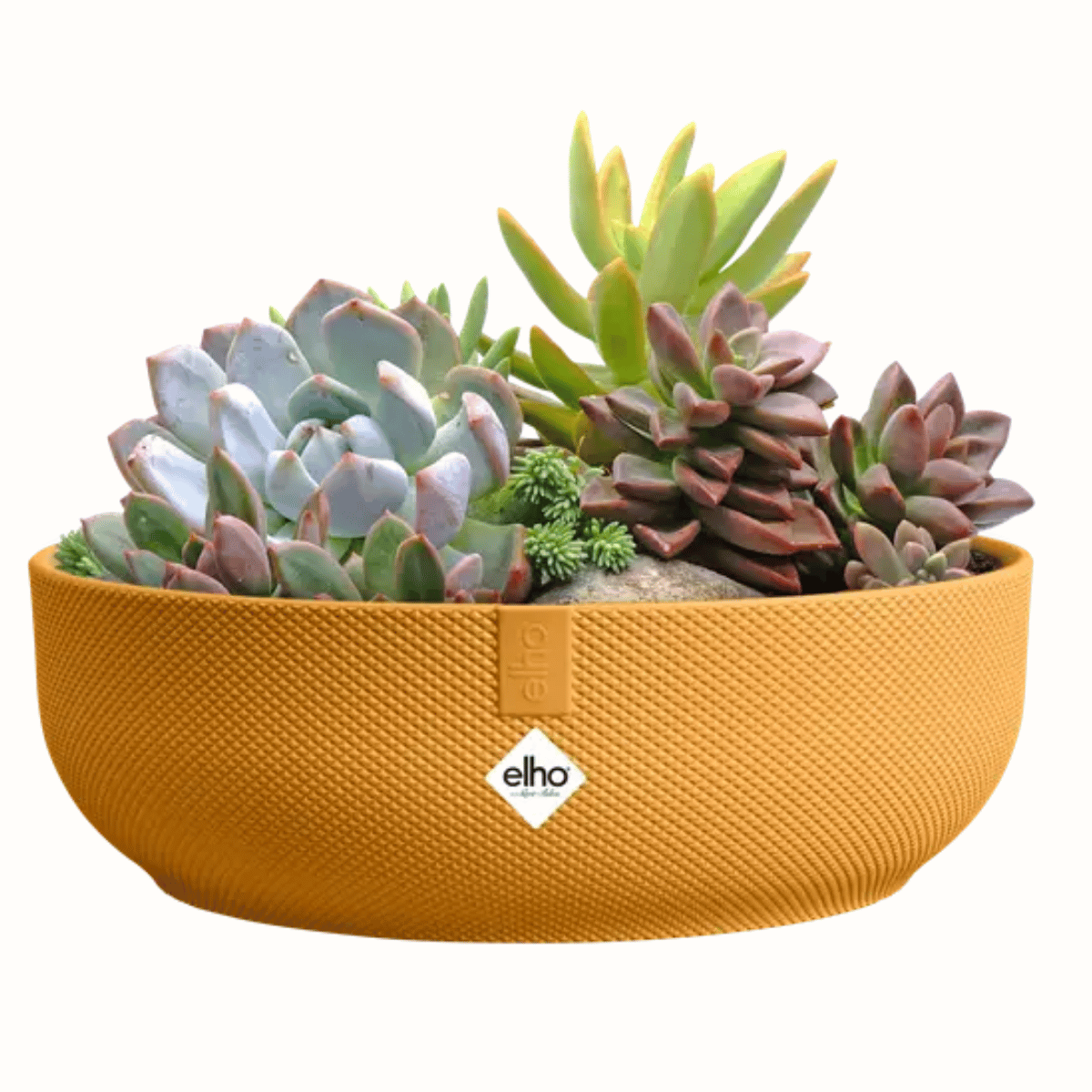 Elho Bloempot Jazz Rond Geel 28 x 9 cm