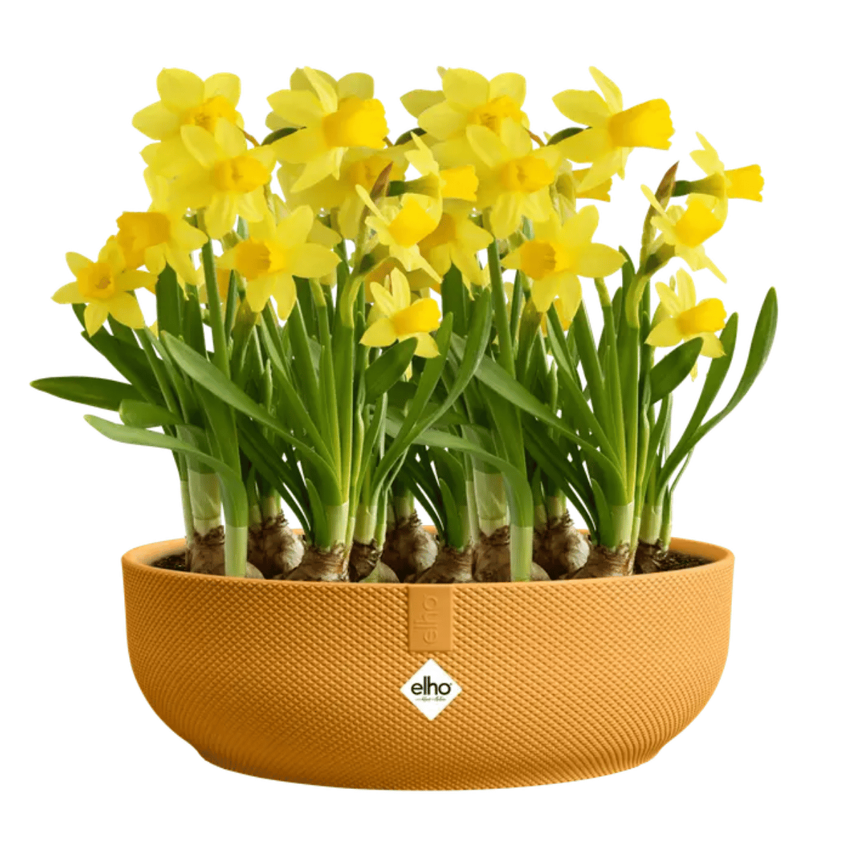Elho Bloempot Jazz Rond Geel 28 x 9 cm