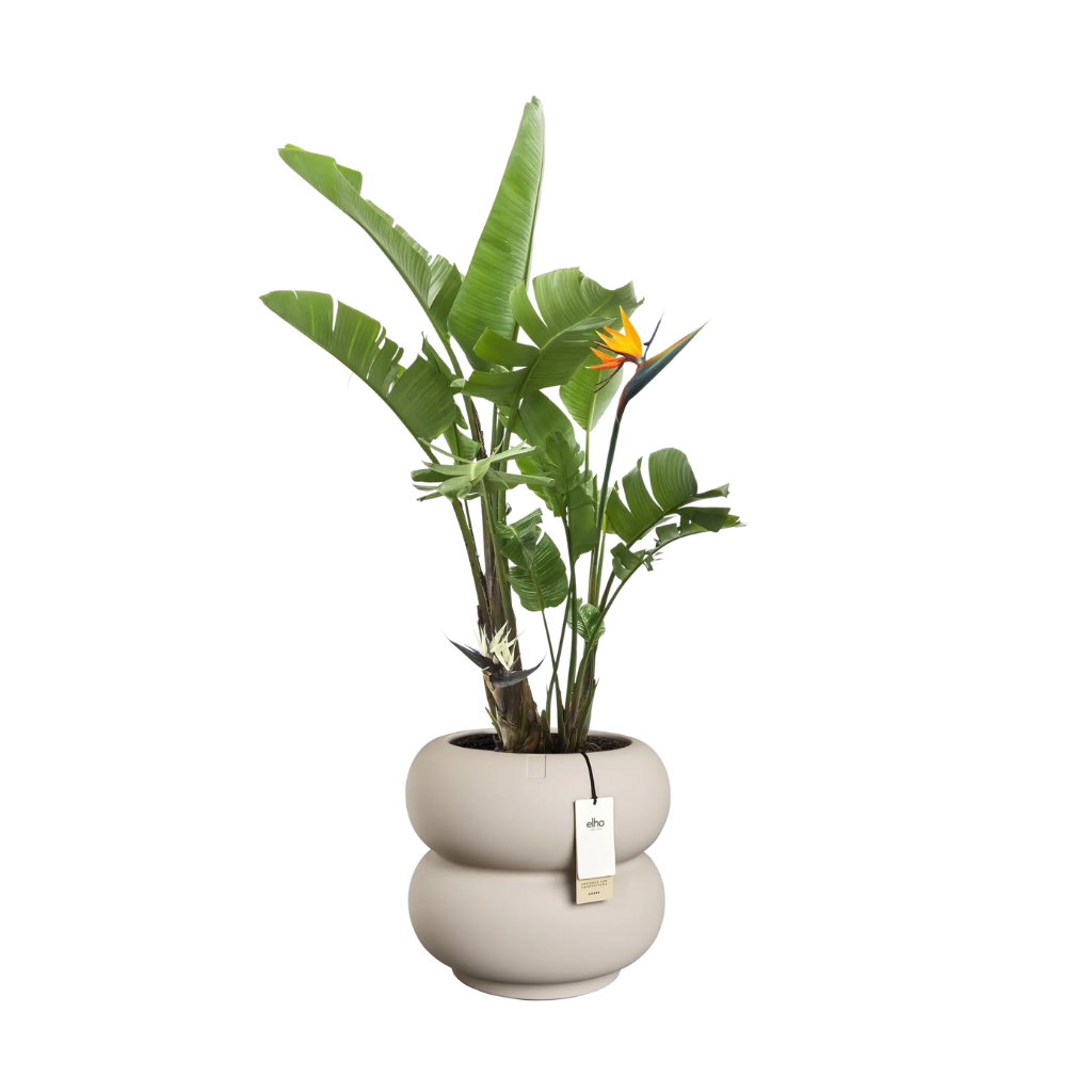 Elho Amber Roll Low - Balanced beige - 43 x 40 cm