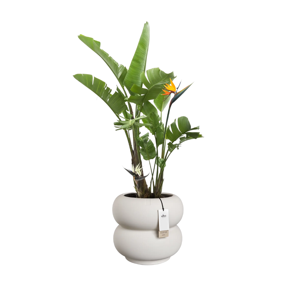 Elho Amber Roll Low - Linnen wit - 43 x 40 cm