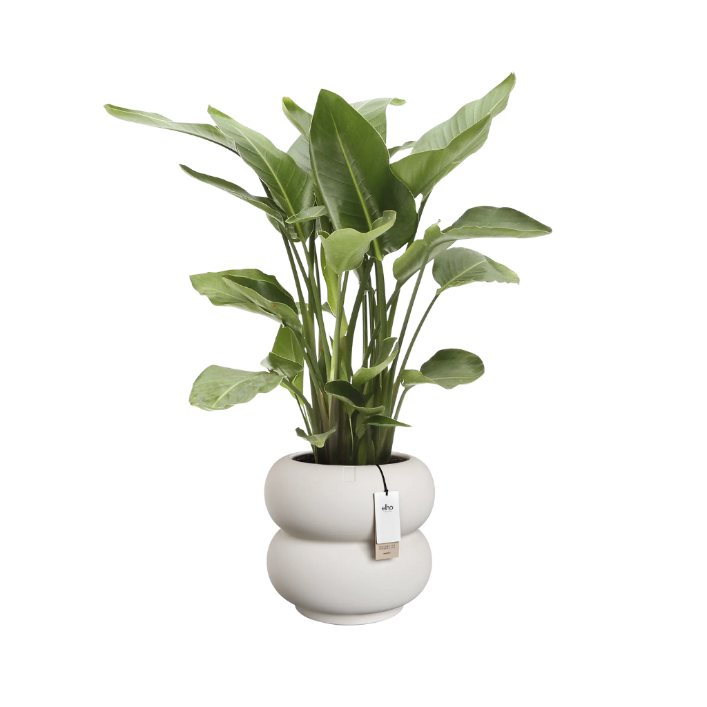 Elho Amber Roll Low - Linnen wit - 43 x 40 cm