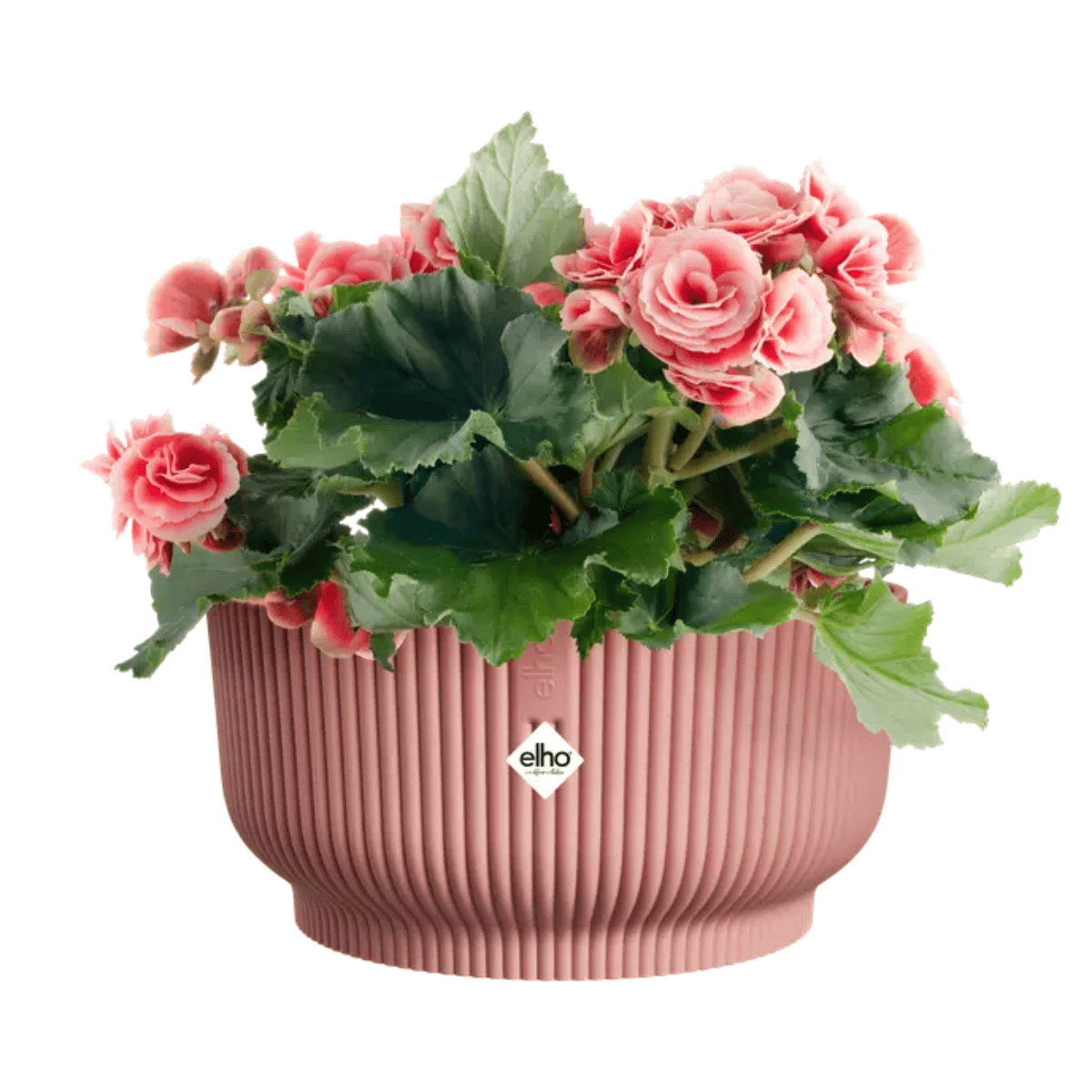 Elho Bloempot Vibes Fold Schaal Roze 25 x 12 cm