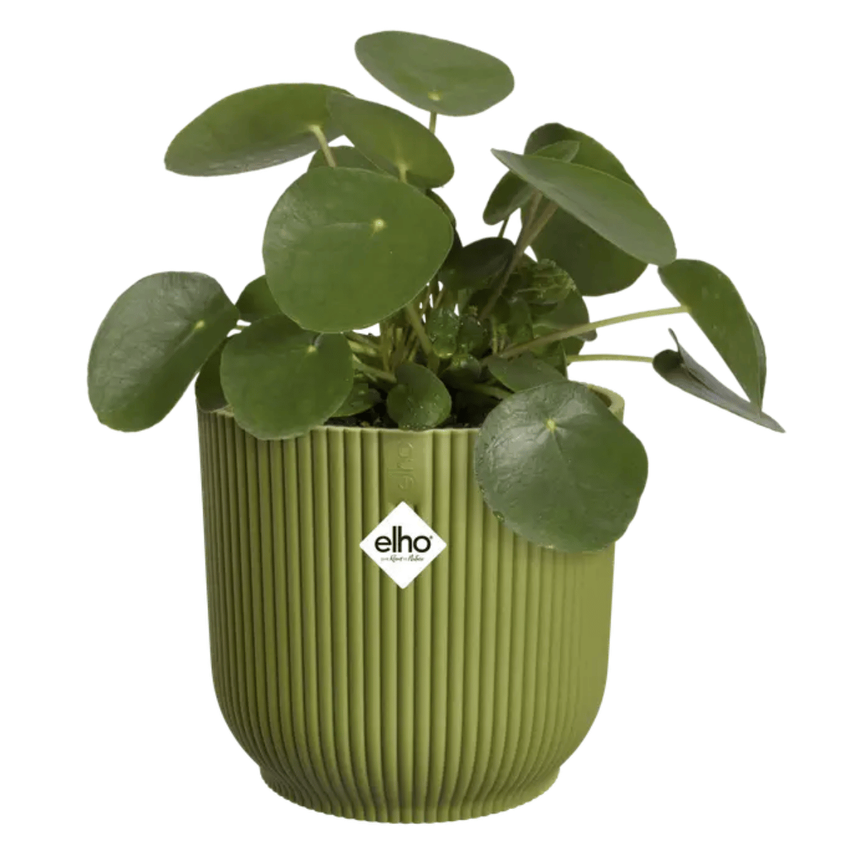 Elho Bloempot Vibes Fold Rond Groen 14 x 13 cm