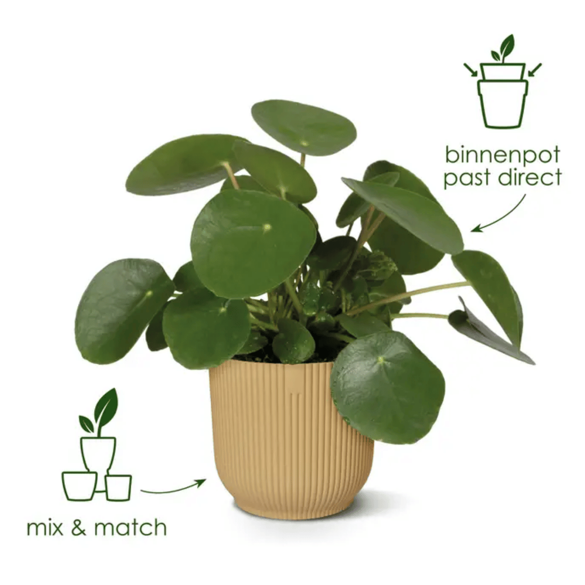 Elho Bloempot Vibes Fold Rond Groen 14 x 13 cm