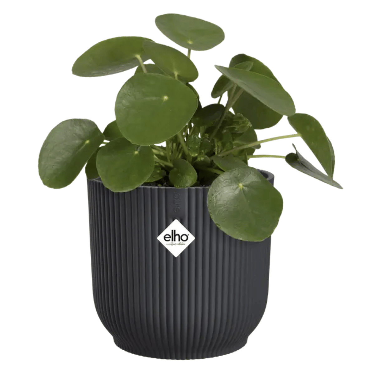 Elho Bloempot Vibes Fold Rond Antraciet 22 x 20 cm