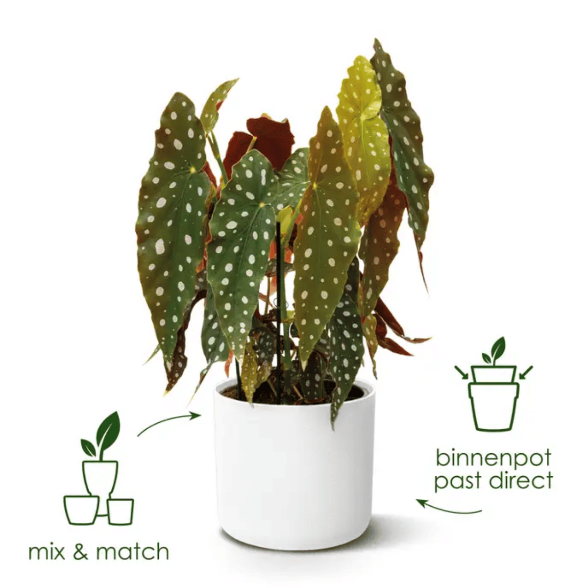 Elho Bloempot B.for Soft Rond Zand 18 x 17 cm
