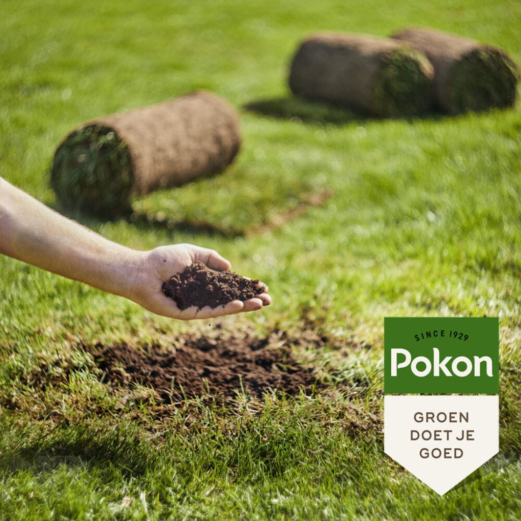 Pokon Stikstofmest 2kg