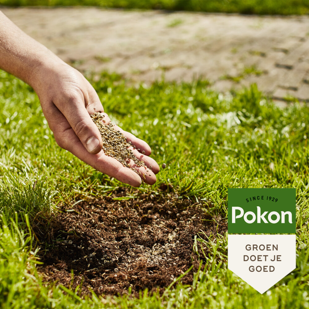 Pokon Magnesiummest 2kg