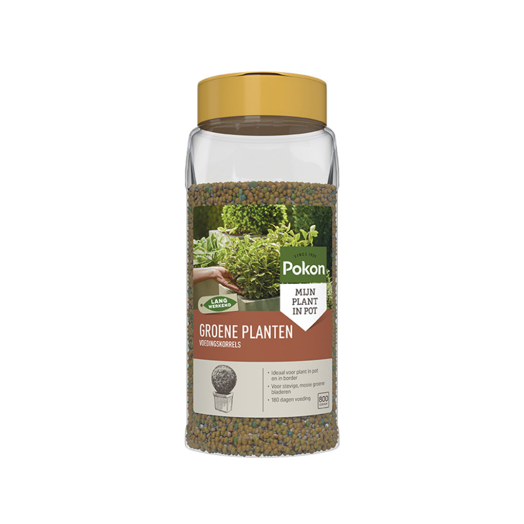 Pokon Groene Planten Voedingskorrels 800g