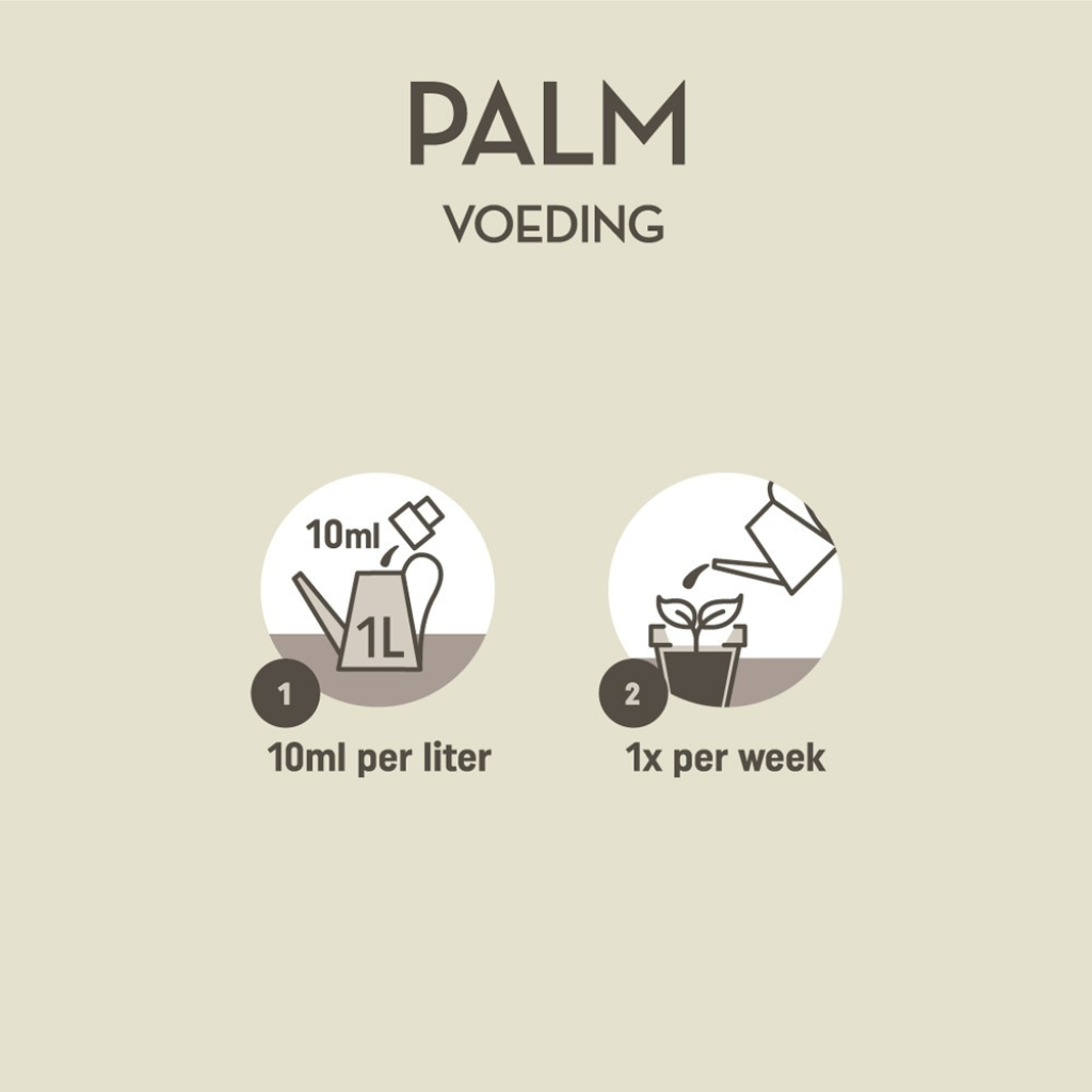 Pokon Palm Voeding 250ml