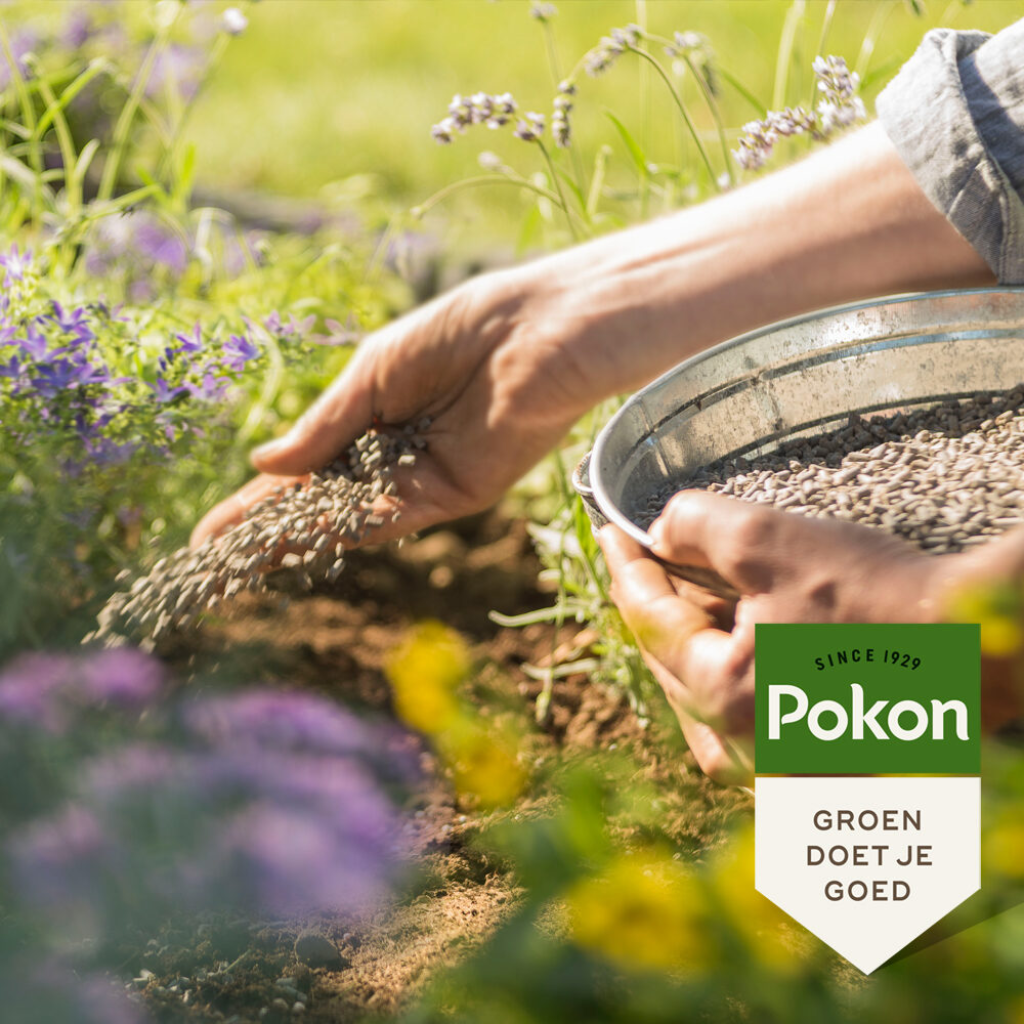 Pokon Tuinmest 2,5kg