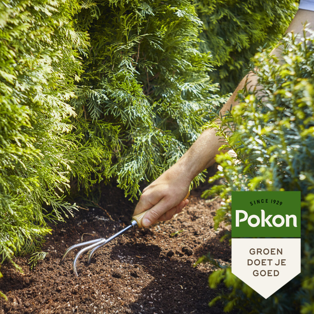 Pokon Conifeer & Taxus Mest 2,5kg