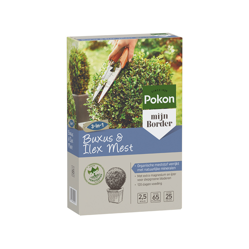 Pokon Buxus & Ilex Mest 2,5kg