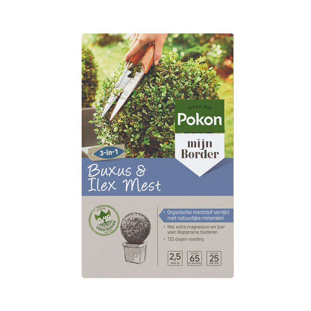 Pokon Buxus & Ilex Mest 2,5kg