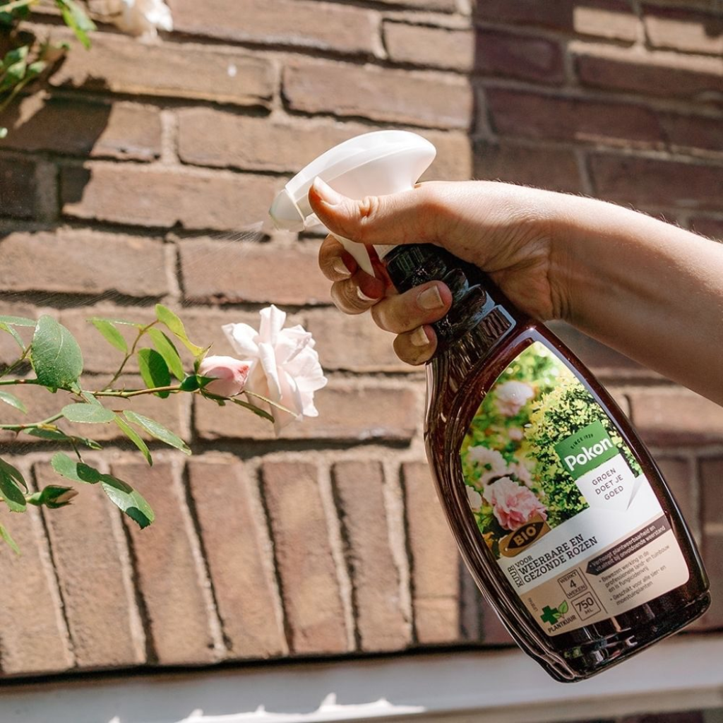 Pokon Bio Kuur Voor Weerbare en Gezonde Rozen Spray 750ml