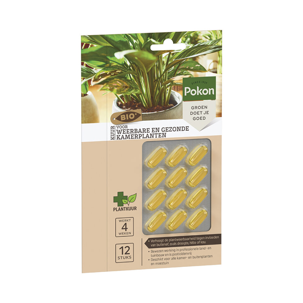 Pokon Bio Kuur voor Weerbare en Gezonde Kamerplanten Capsules 12 stuks