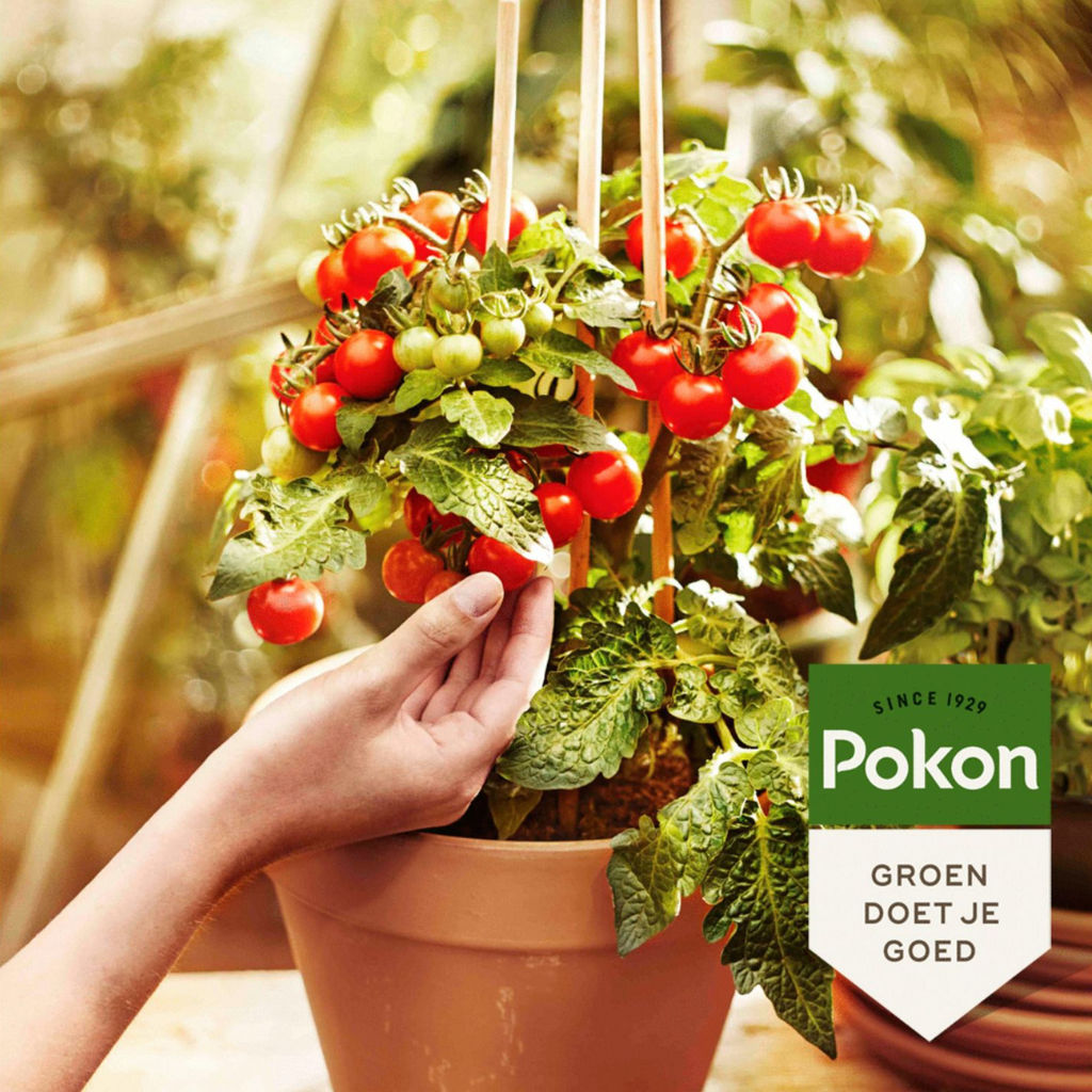 Pokon Bio Moestuin Voeding 500ml