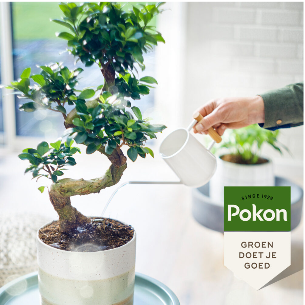 Pokon Bio Bonsai Voeding 250ml
