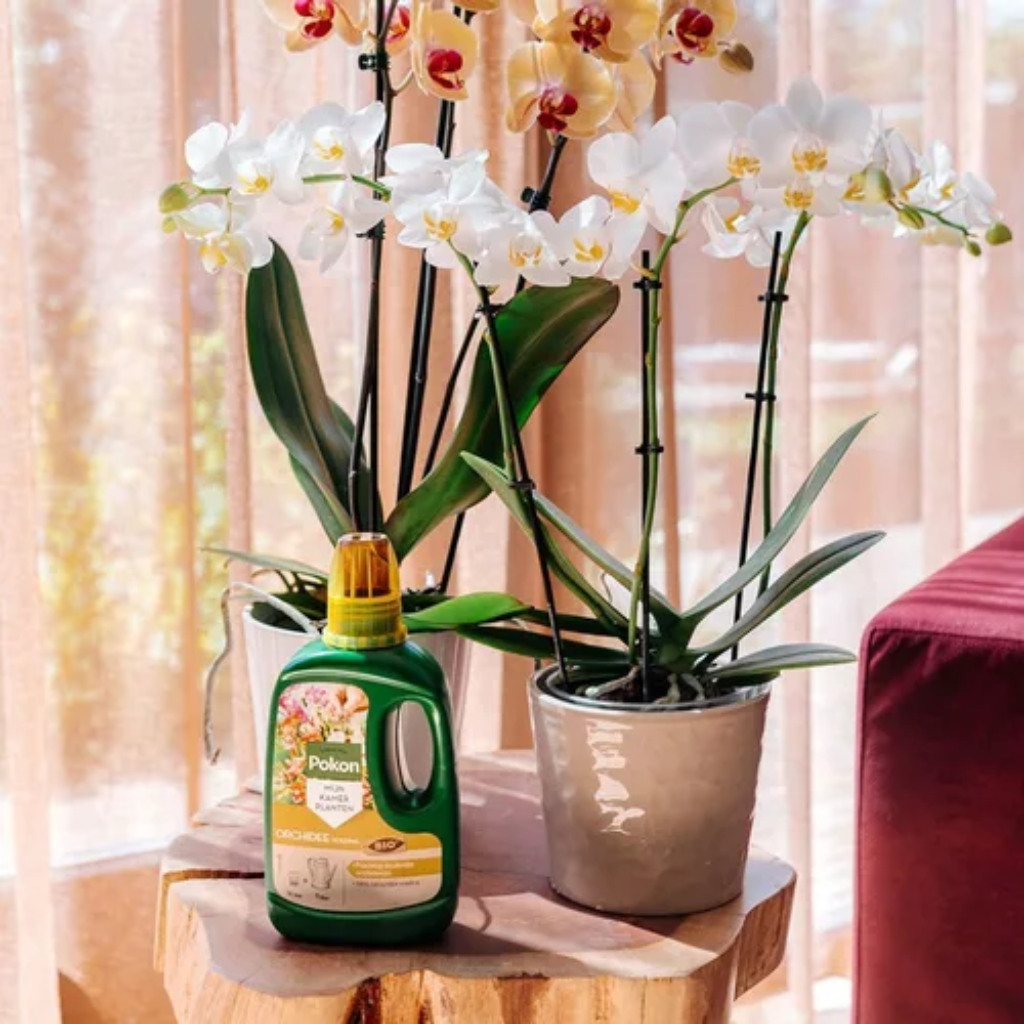 Pokon Bio Orchidee Voeding 500 ml
