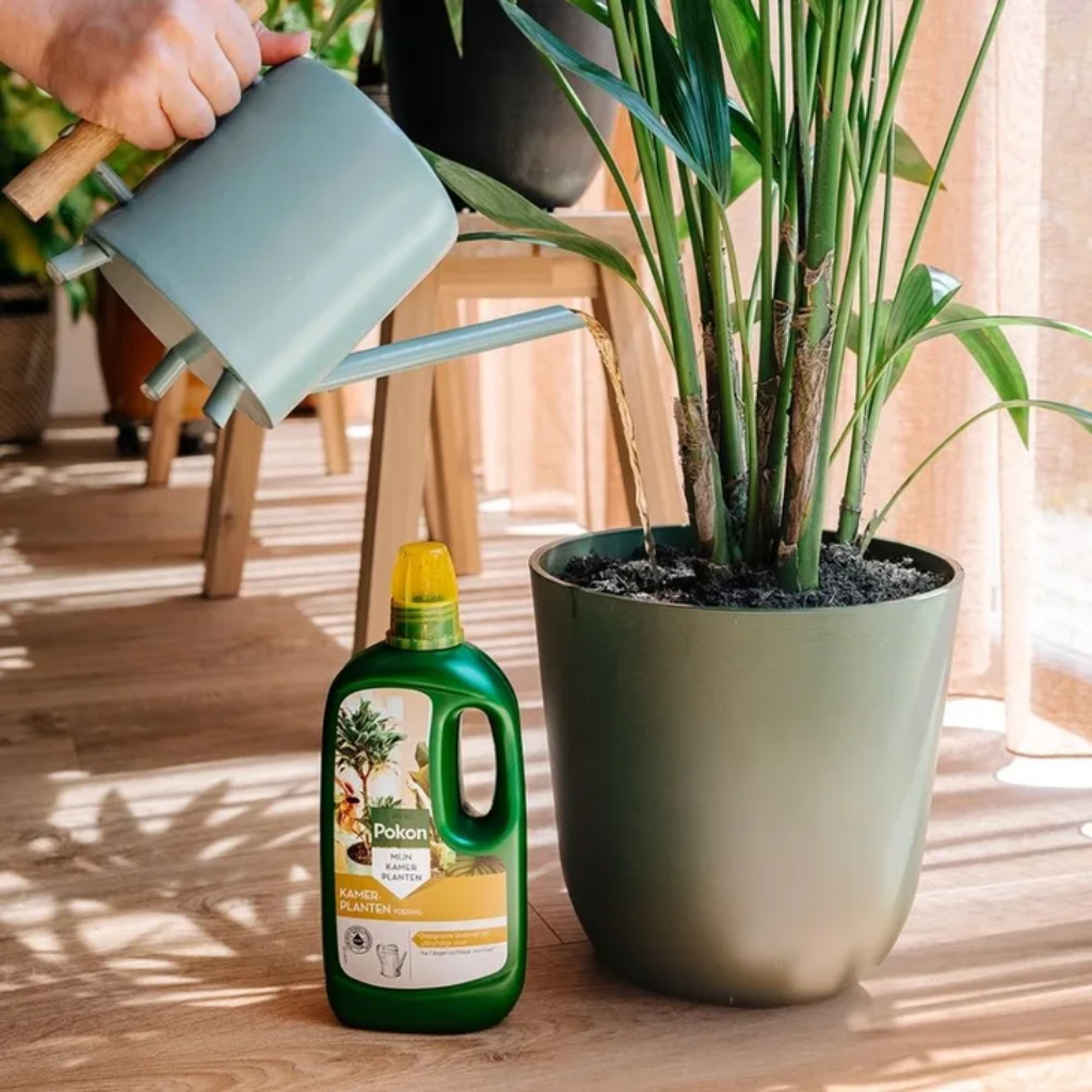 Pokon Kamerplanten Voeding 1 L