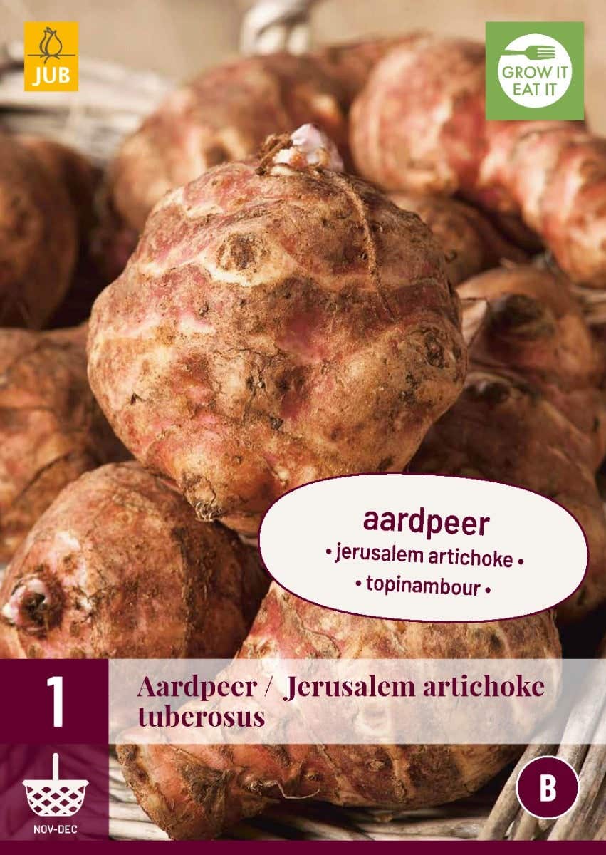 Helianthus Tuberosus