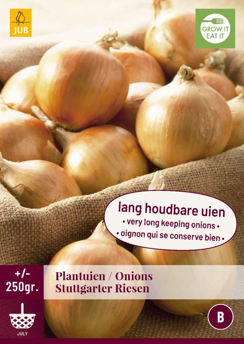 Plantuien Stuttgarter Riesen 250 gram