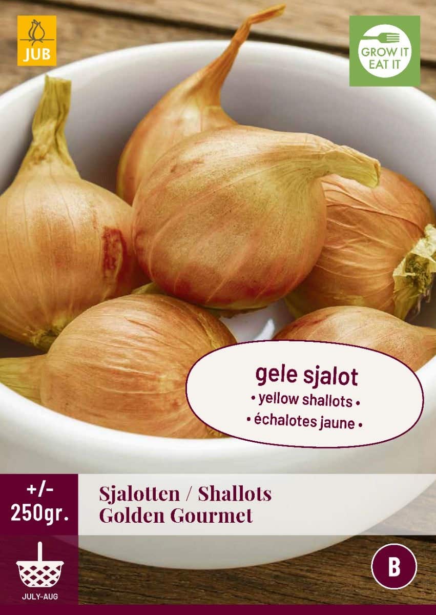 Sjalotten Golden Gourmet 250 gram