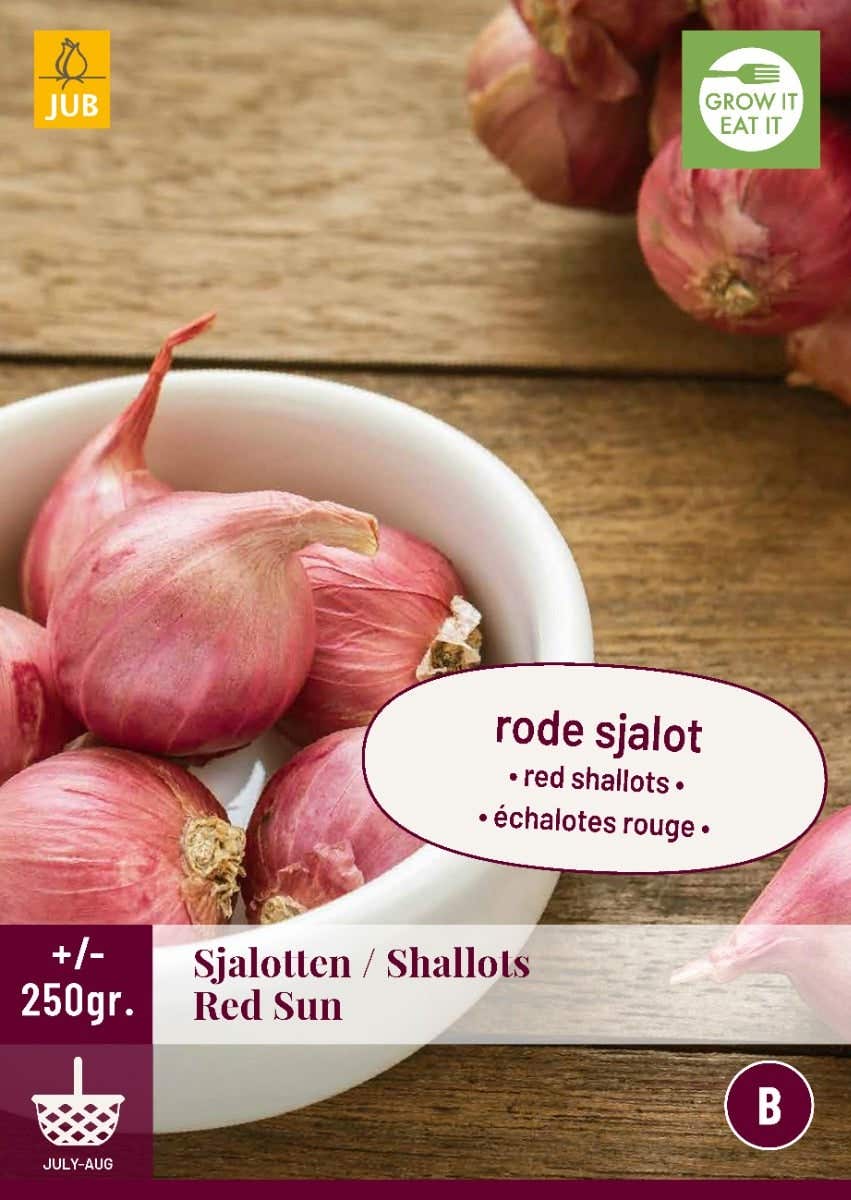 Sjalotten Red Sun 250 gram