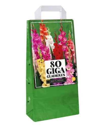 Draagtas 80 Gladiolus Mix