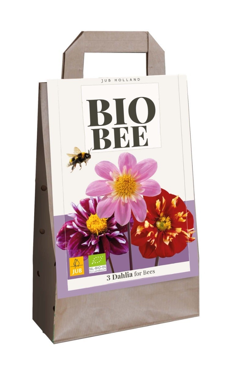 Tas 3 Bio Bee Dahlias
