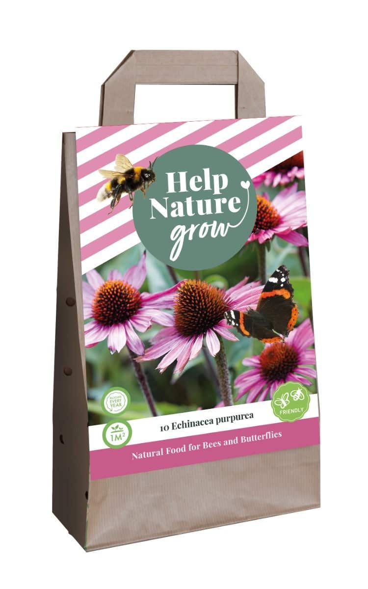Tas 10 Echinacea Purpurea
