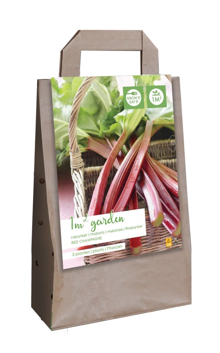 Tas Met 1 M2 Rabarber Red Champagne 3 Stuks