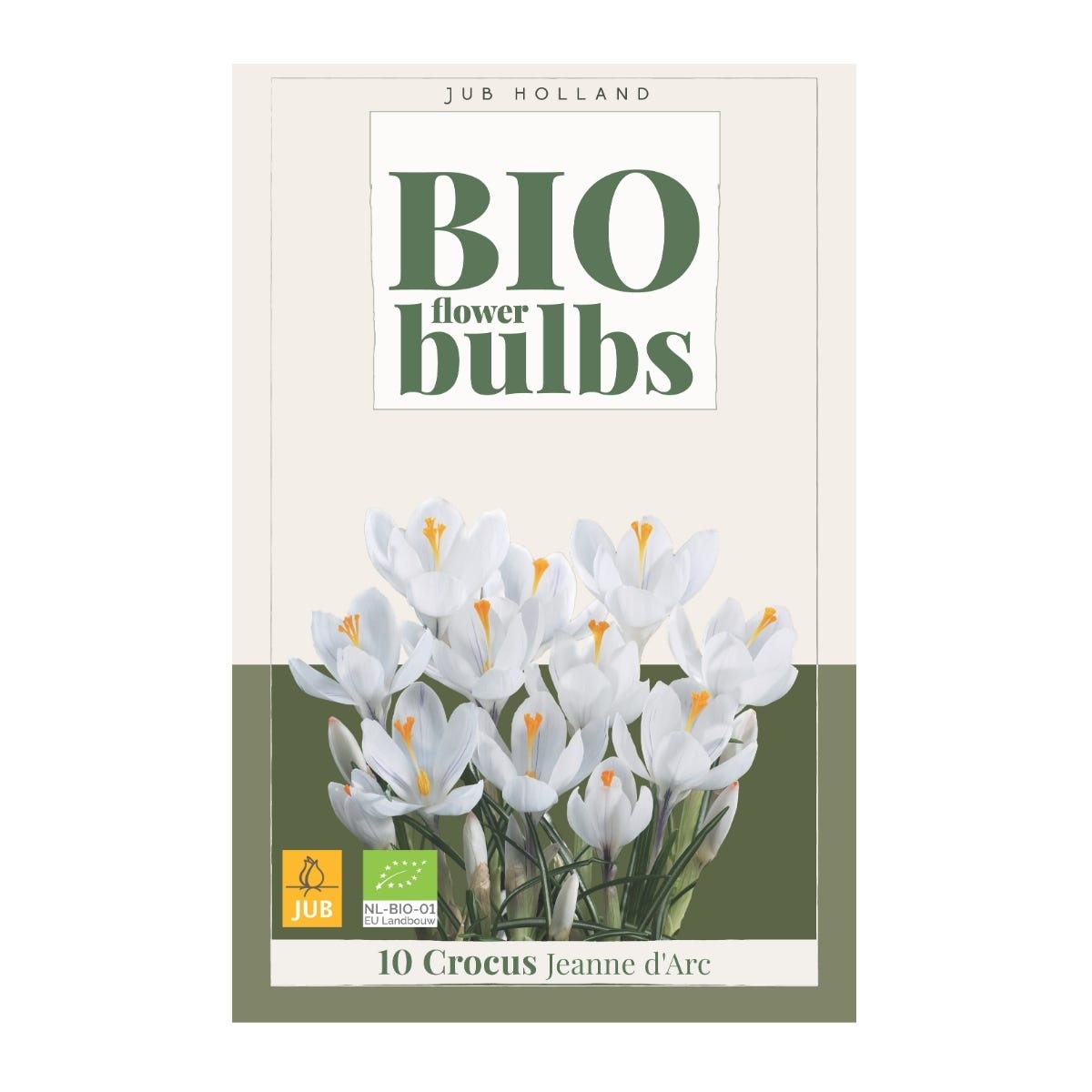 JUB Holland Bloembollen Krokus (Crocus 'Jeanne dÁrc') Biologisch 10 stuks