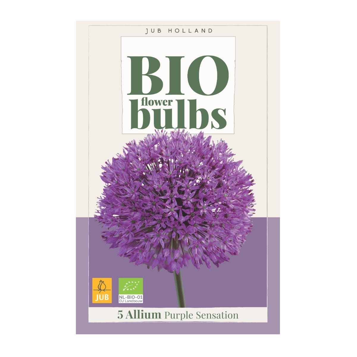 JUB Holland Bloembollen Sierui (Allium 'Purple Sensation') Biologisch 5 stuks