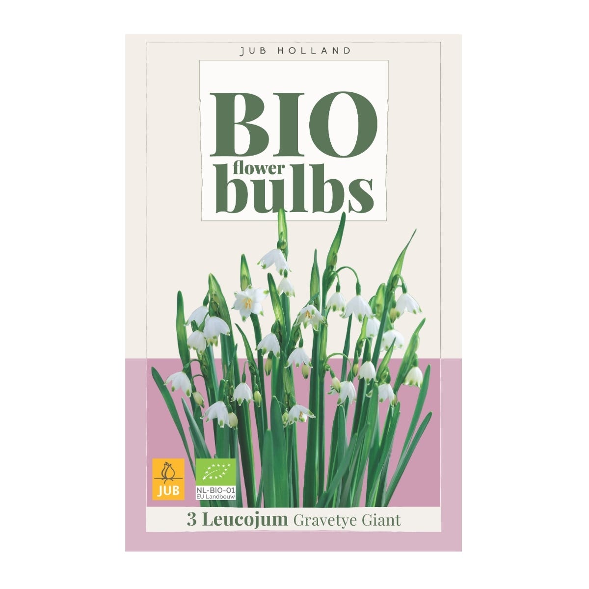 JUB Holland Bloembollen Lenteklokje (Leucojum 'Gravetye Giant') Biologisch 3 stuks