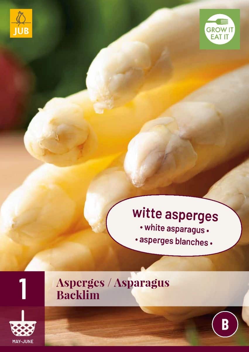 Asparagus Backlim