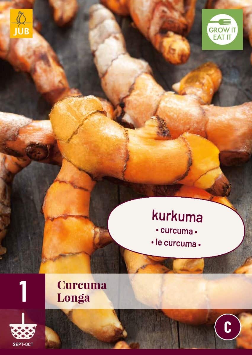 Curcuma Longa