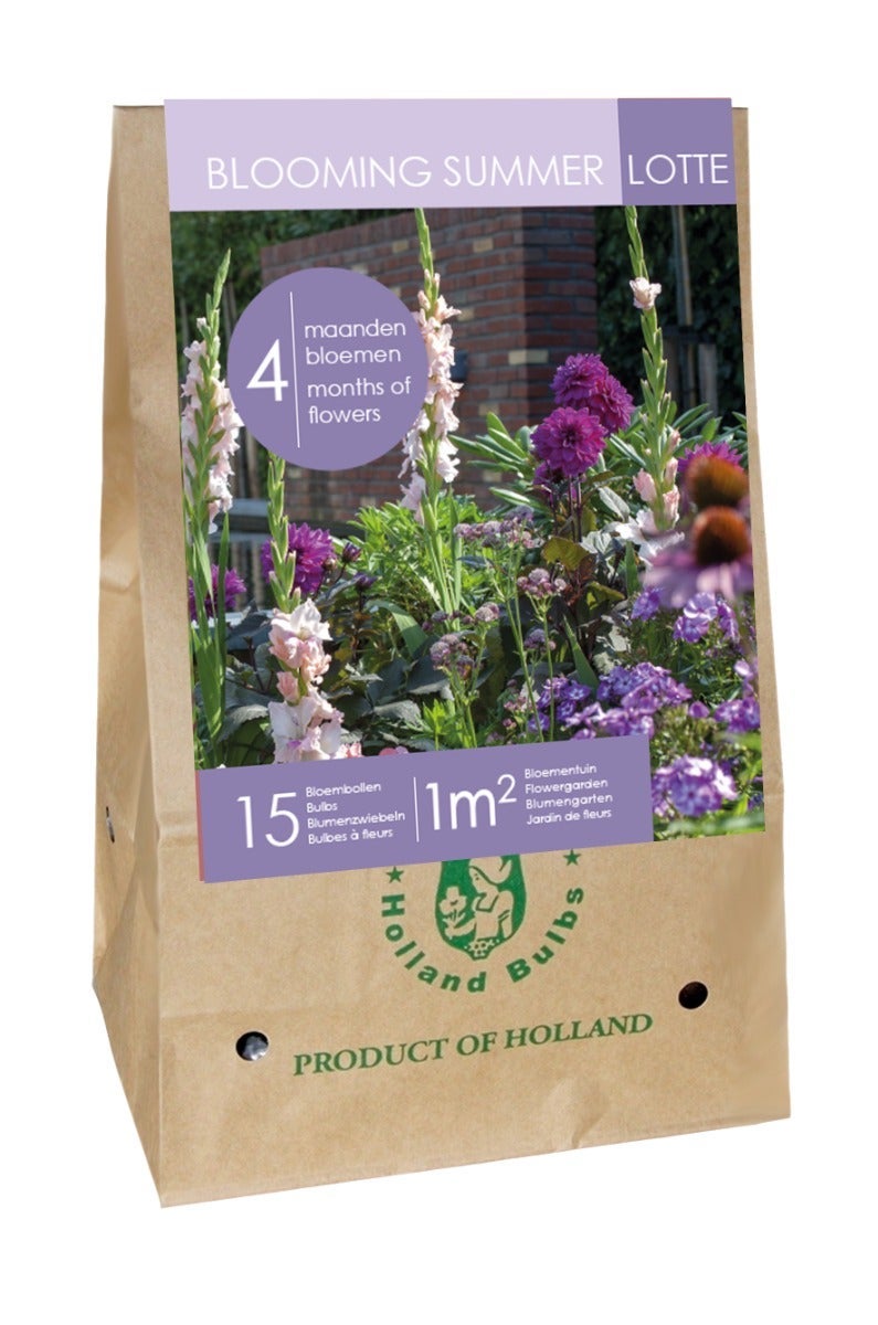 Zak Blooming Summer 'Lotte'