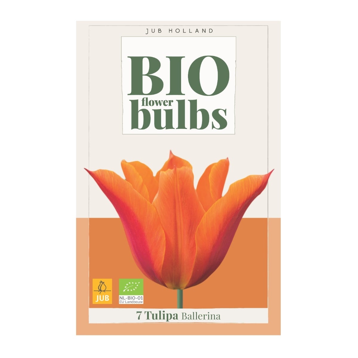 JUB Holland Bloembollen Tulp (Tulipa 'Ballerina') Biologisch 7 stuks