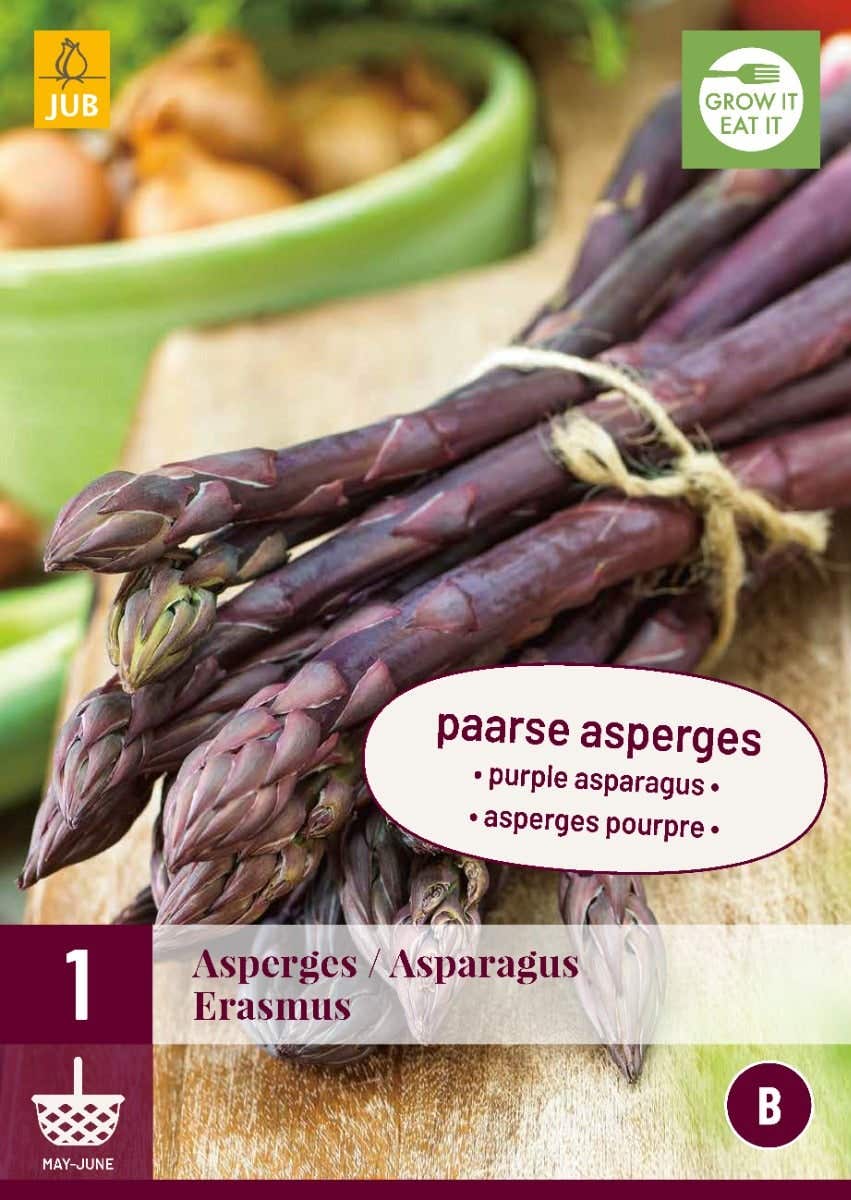 Asparagus Erasmus