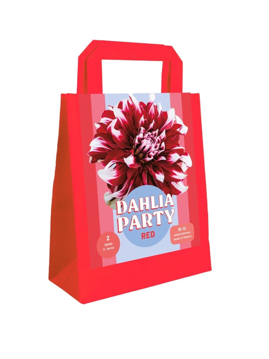 Zak 2 Dahlia Party Red