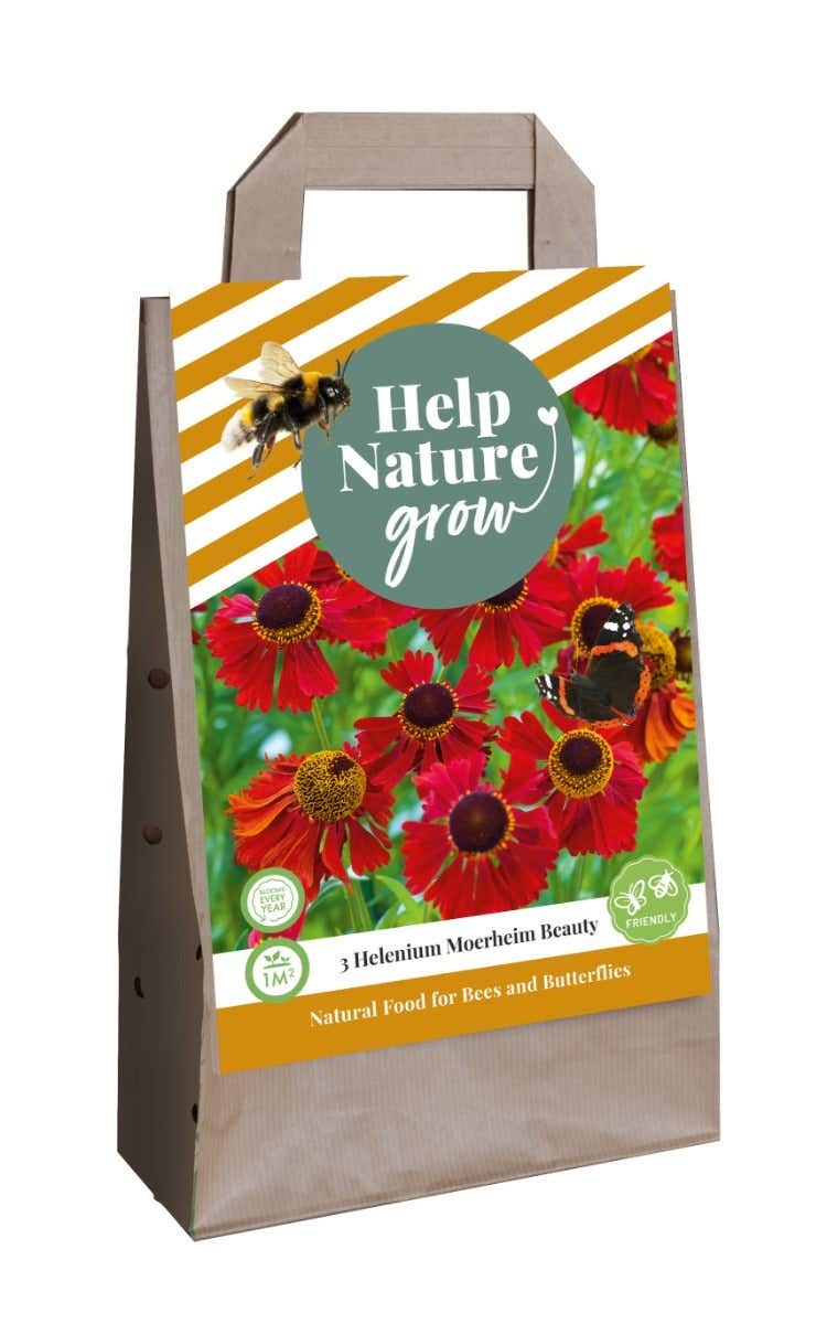 Tas 3 Helenium Moerheim Beauty