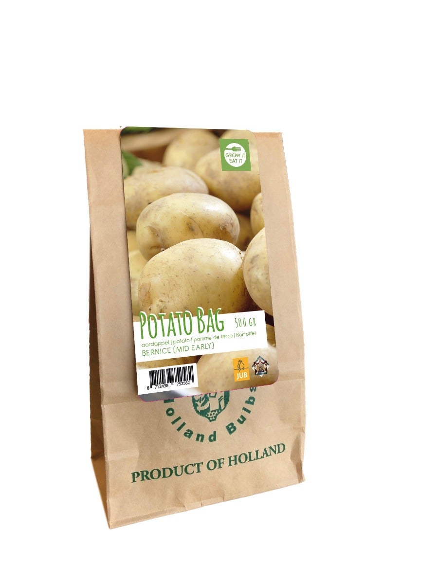 Zak 500 Gr. Aardappelen Bernice