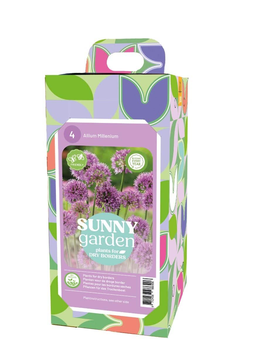 Doos Sunny Garden Plants 4 Allium Millenium