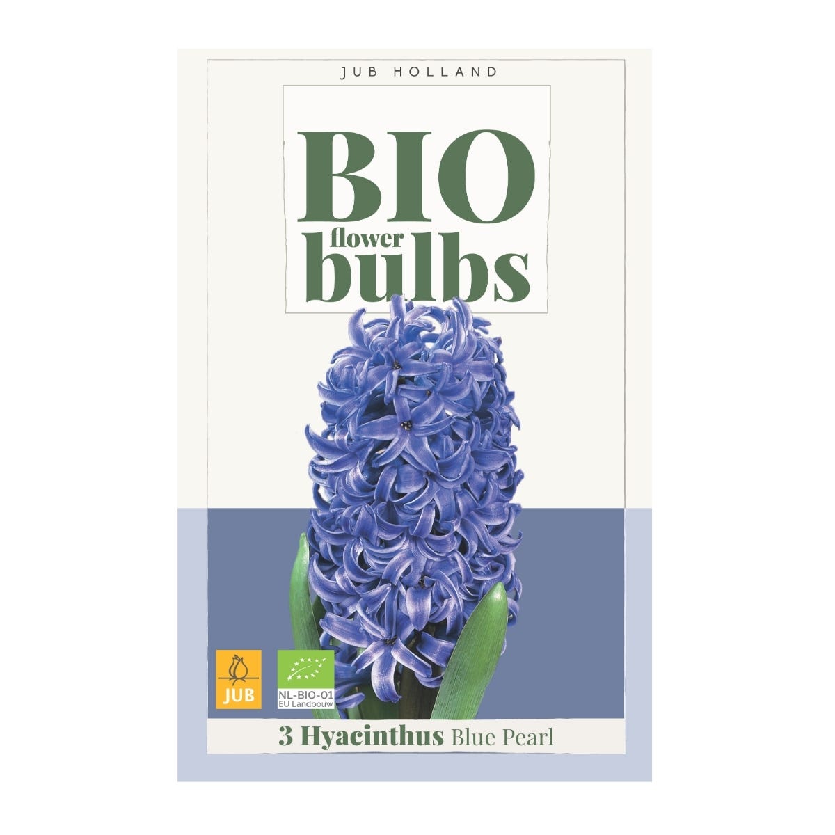 JUB Holland Bloembollen Hyacint (Hyacinthus 'Blue Pearl') Biologisch 3 stuks