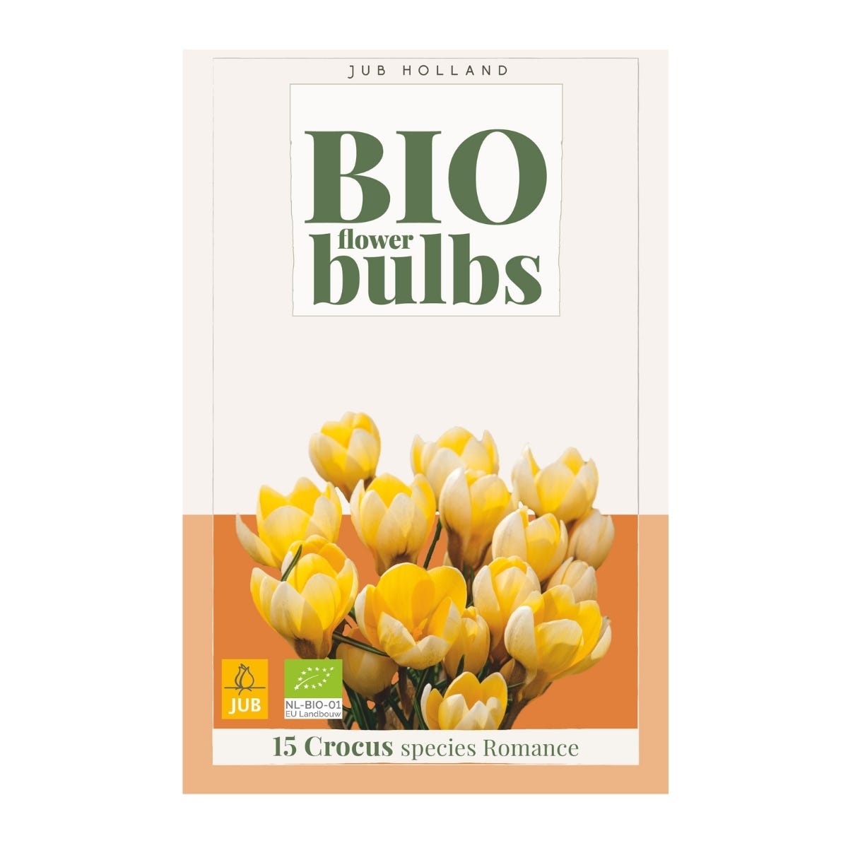 JUB Holland Bloembollen Krokus (Crocus 'Species Romance') Biologisch 15 stuks